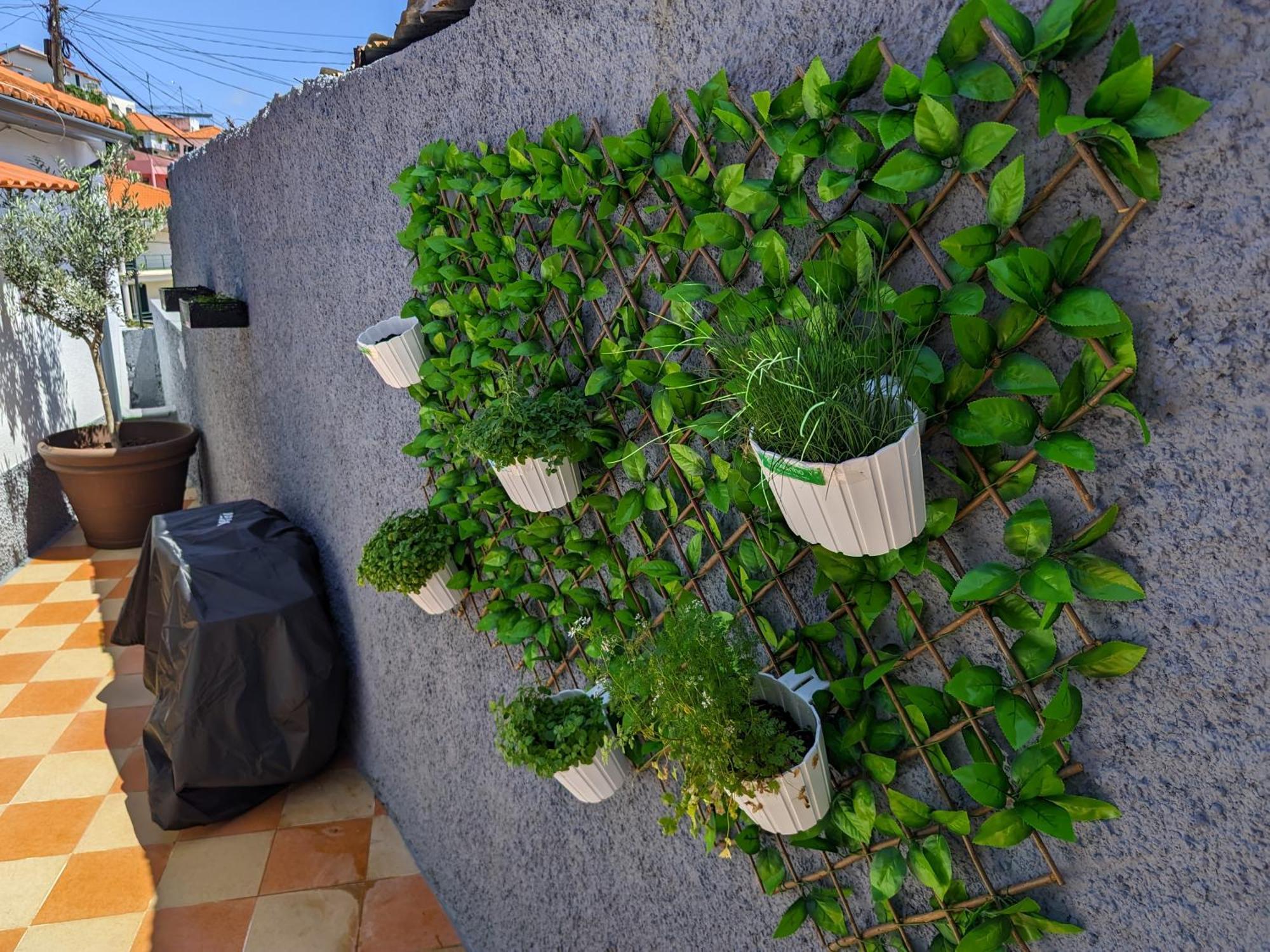 Casa Ascencao, Vista Mar Madeira Villa Funchal  Luaran gambar