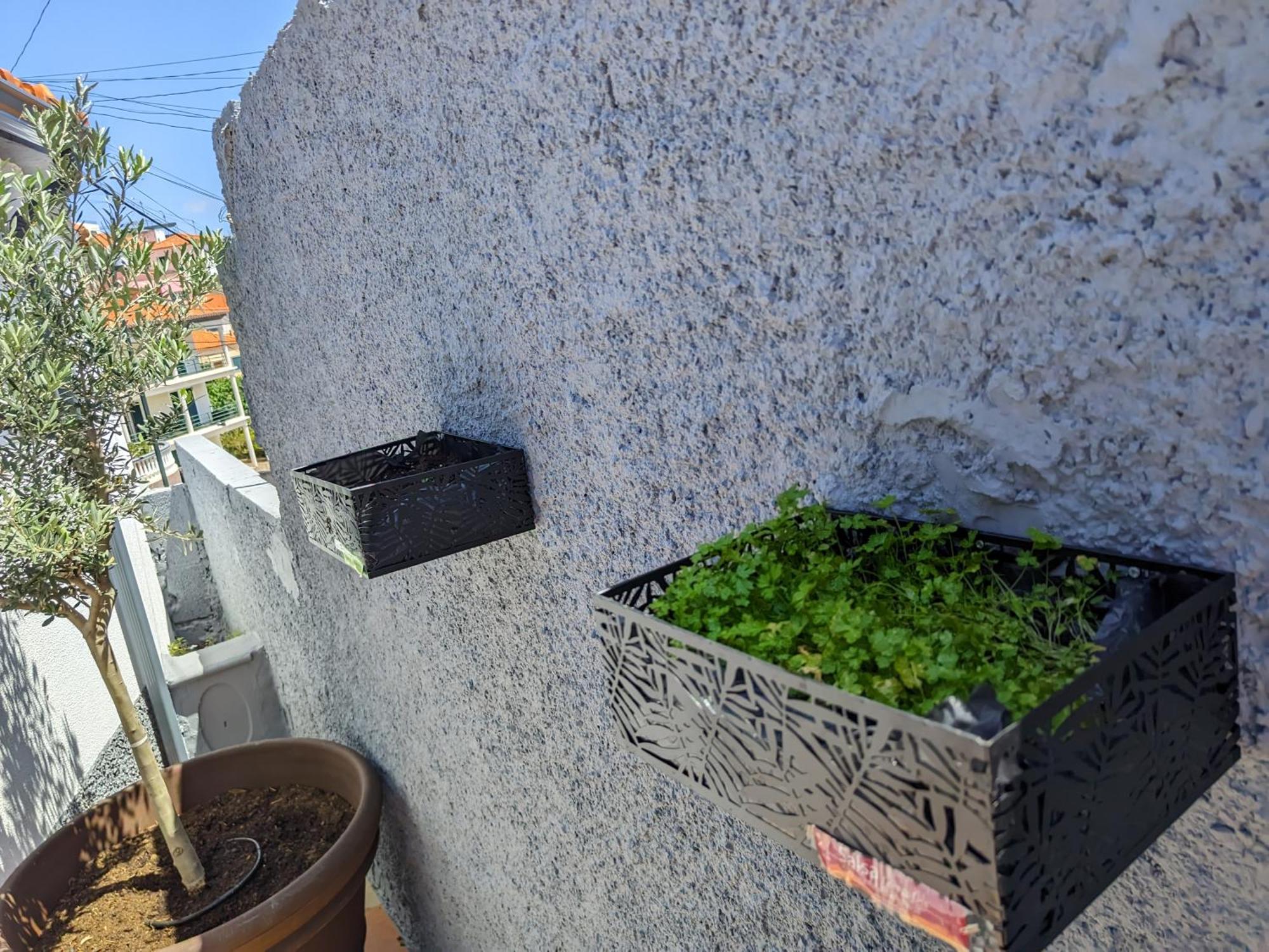 Casa Ascencao, Vista Mar Madeira Villa Funchal  Luaran gambar